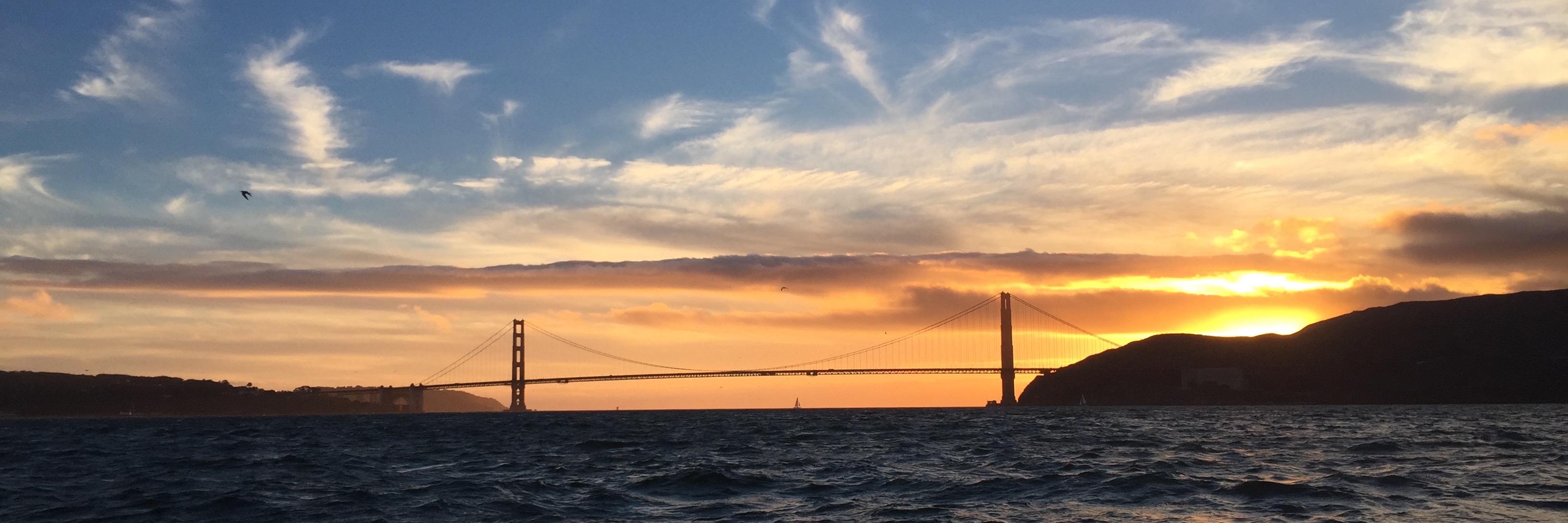 avsteeg's profile banner image