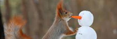 mateypeeps's profile banner image