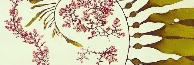 casifragil's profile banner image