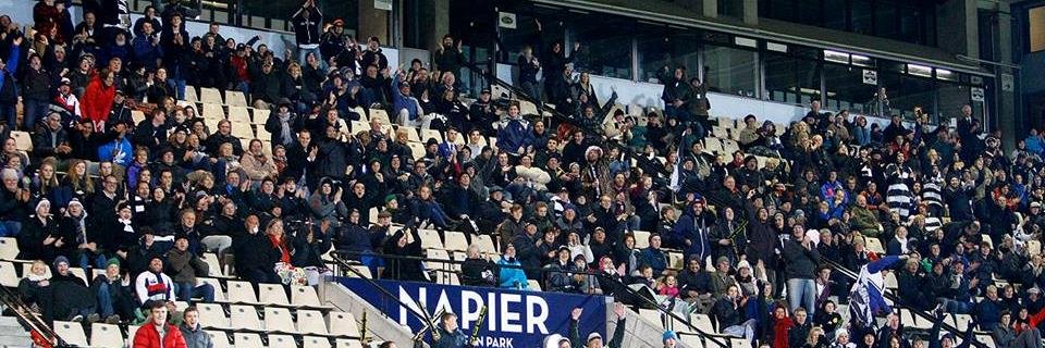 Peter 🇳🇿 banner