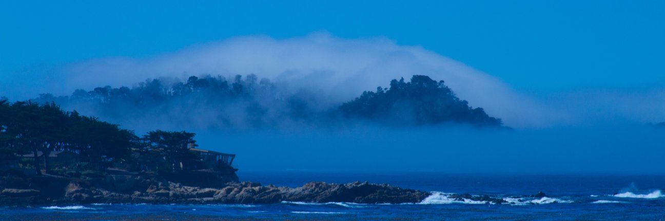 staceyeturner's profile banner image