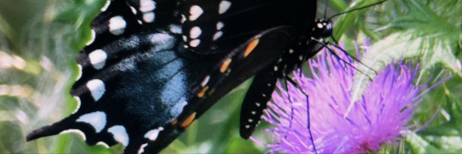 MarkGuilfoy55's profile banner image