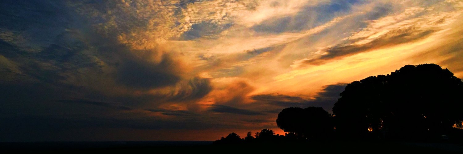 NuLopez's profile banner image