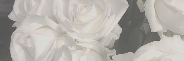 sweets3xysade's profile banner image