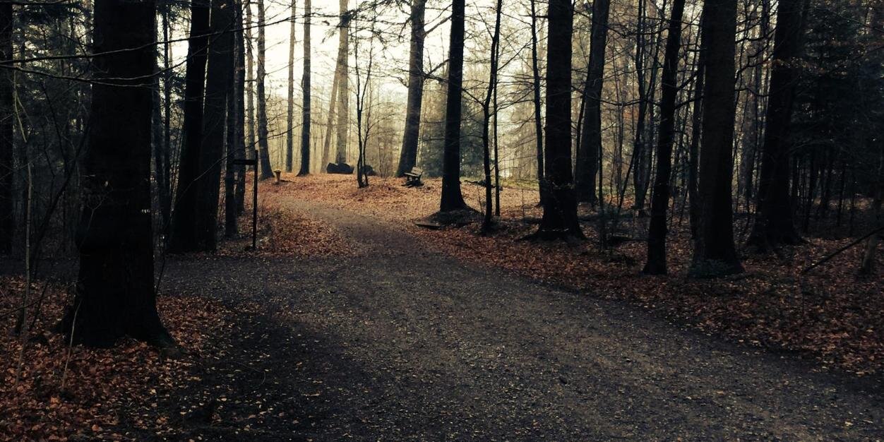 Rafael Matias 🐼🕯️ banner