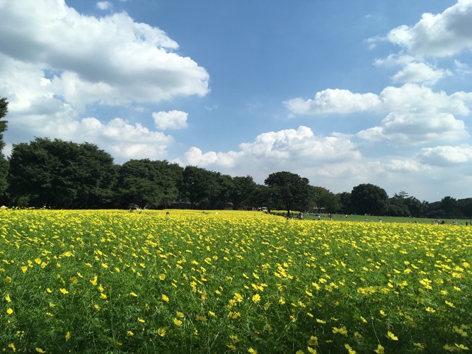 tsuum's profile banner image