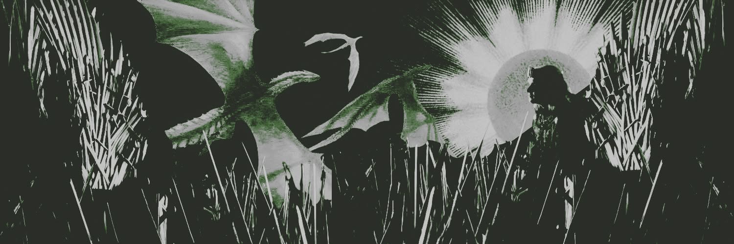 usurpingking's profile banner image