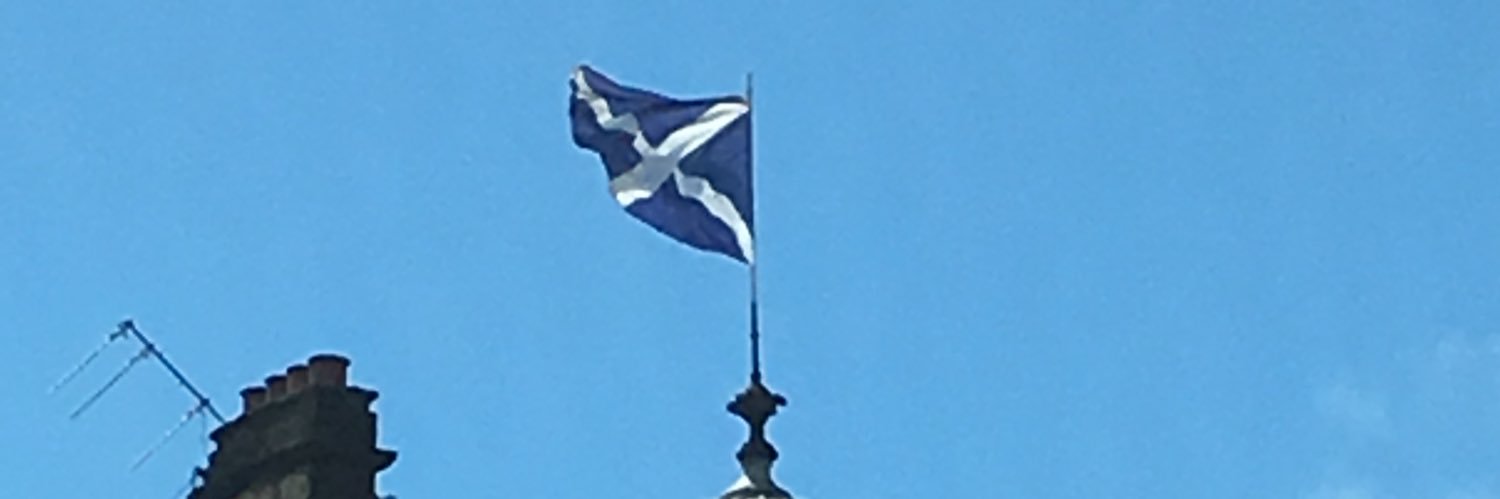 Piero Pieraccini banner