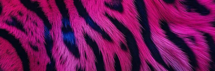 KimSteel3mm2's profile banner image