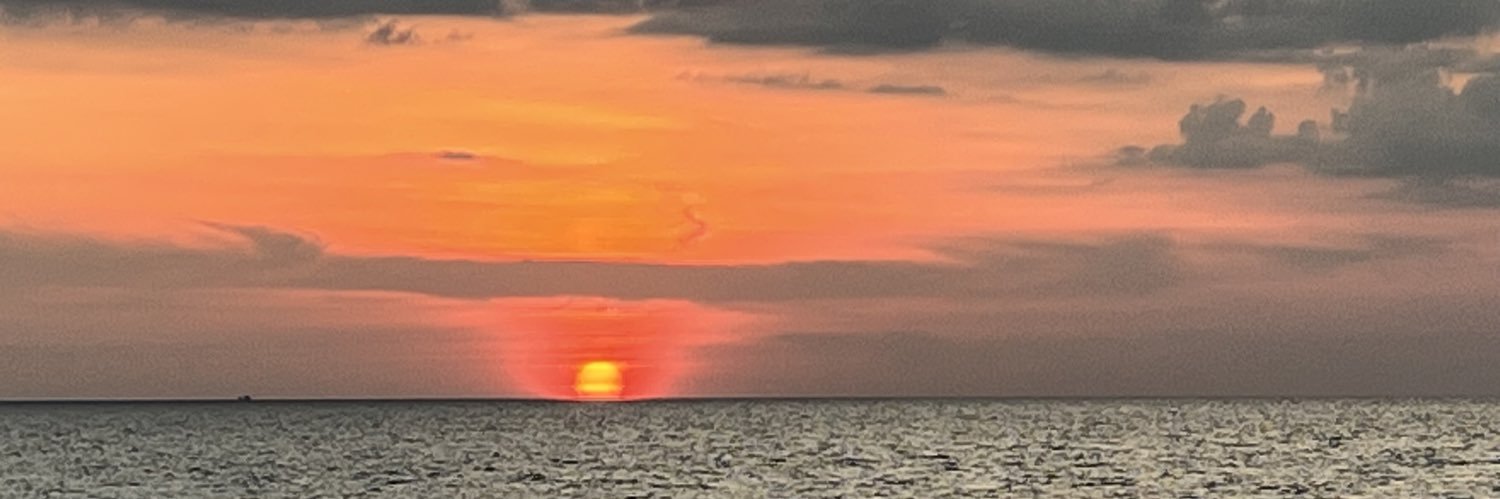 maidofthemist78's profile banner image