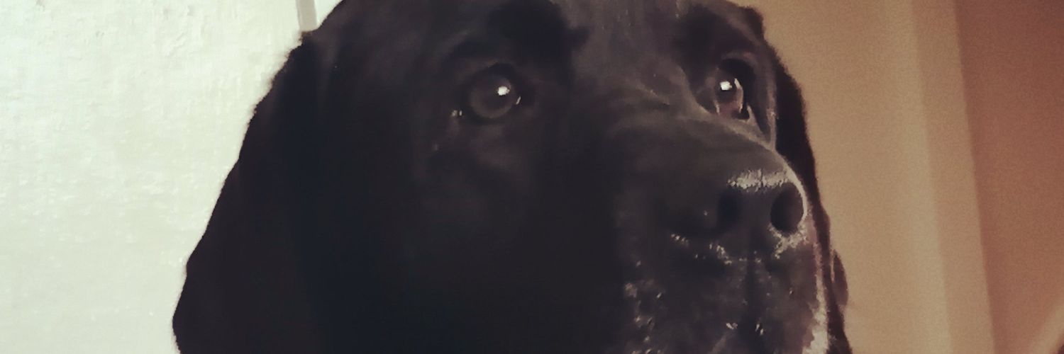 Martynbuell's profile banner image