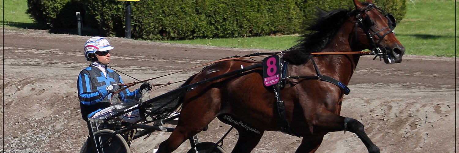Turfalacote's profile banner image