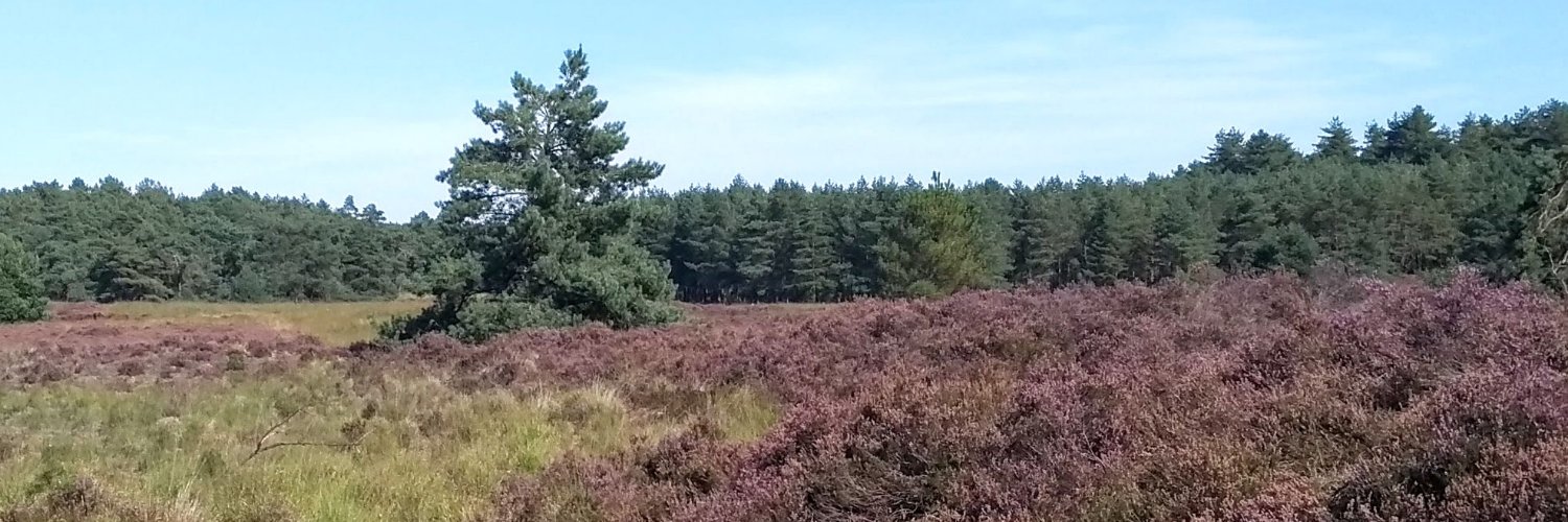 Jan Weverbergh banner