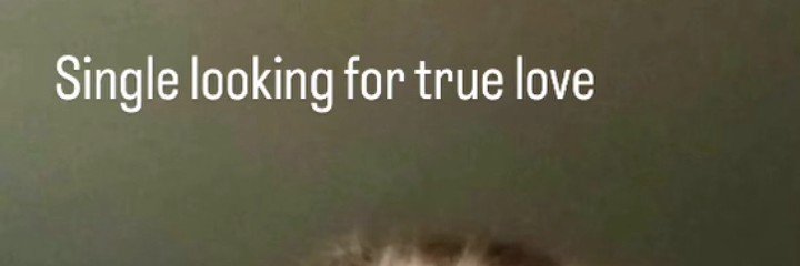 daisysmithud's profile banner image