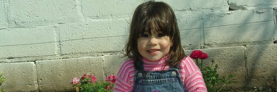 sofficarelli's profile banner image