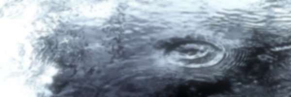 leaderpig's profile banner image