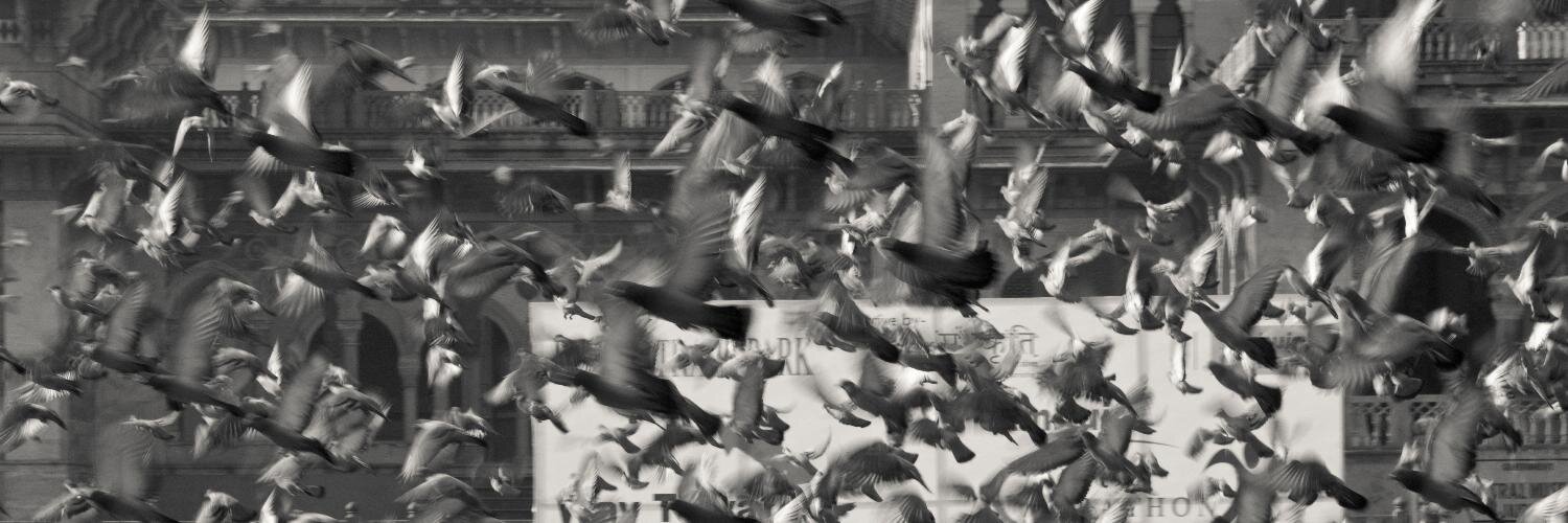 BexMorton's profile banner image