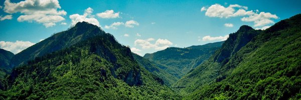 dantoffling Profile Banner