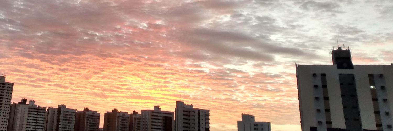 Aline Braga banner