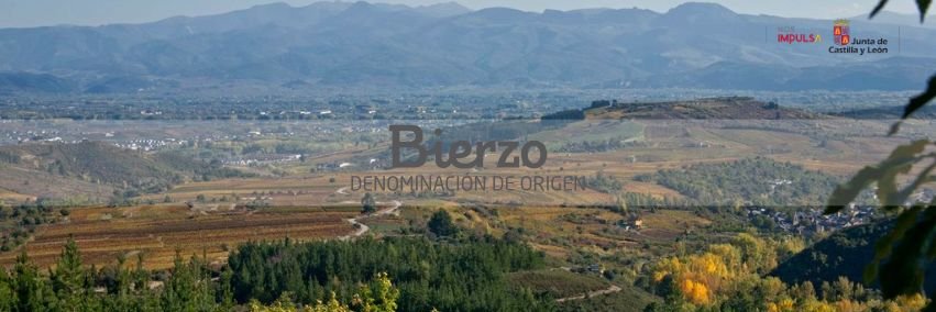 C.R.D.O. Bierzo banner