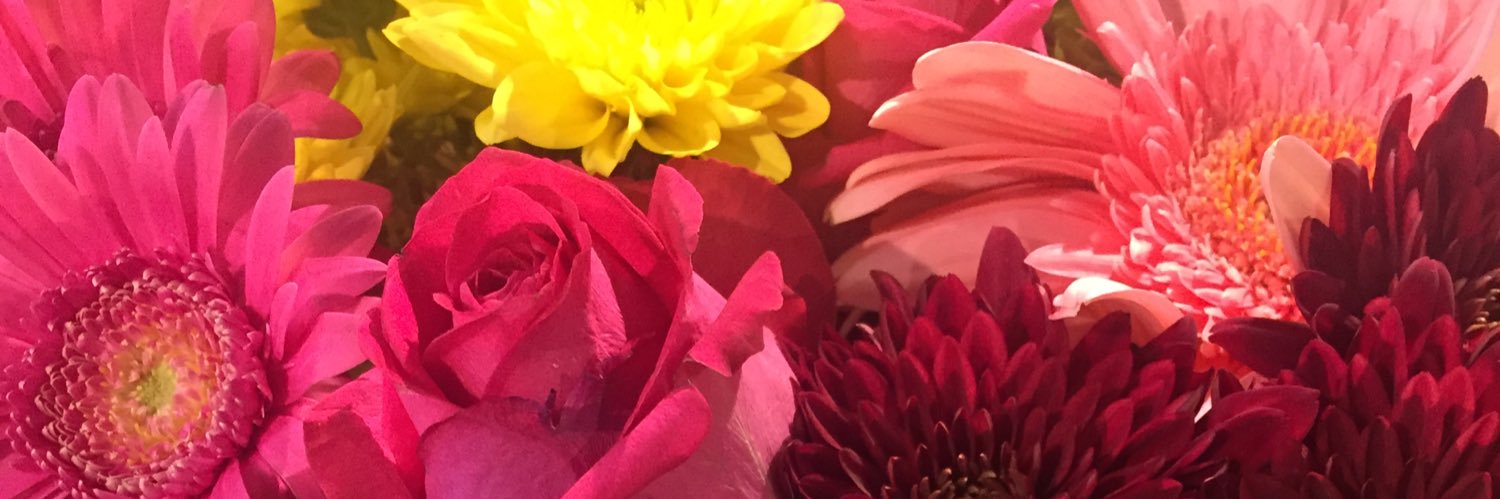 LeaJSolomon's profile banner image