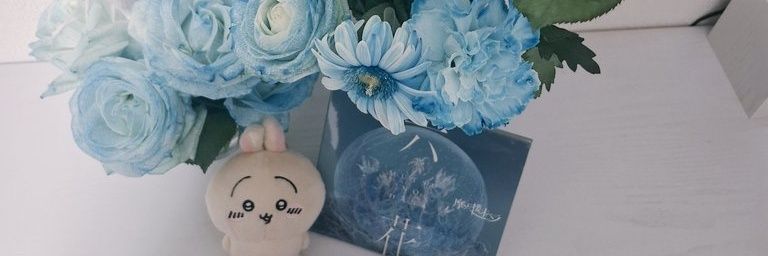 11demi01's profile banner image