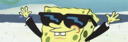 Nishaxo3's profile banner image