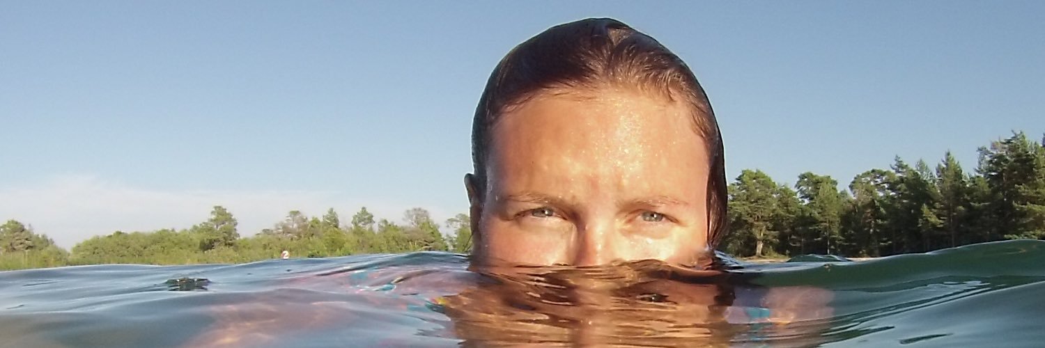 lingpling's profile banner image
