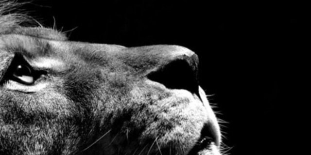 TyeDye__'s profile banner image