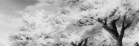 Stiluncreative's profile banner image