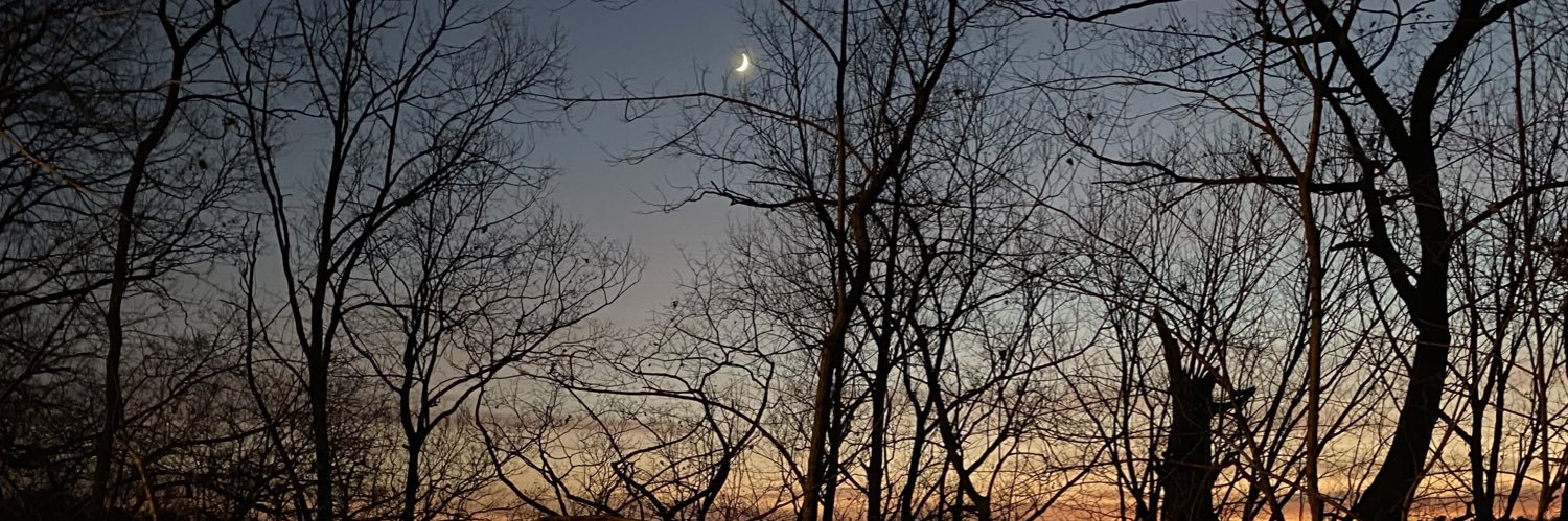 Steve Wiggins 👻 banner