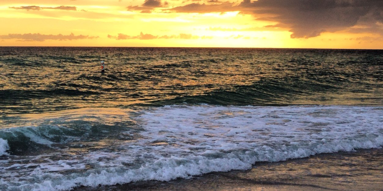 colbeherr's profile banner image