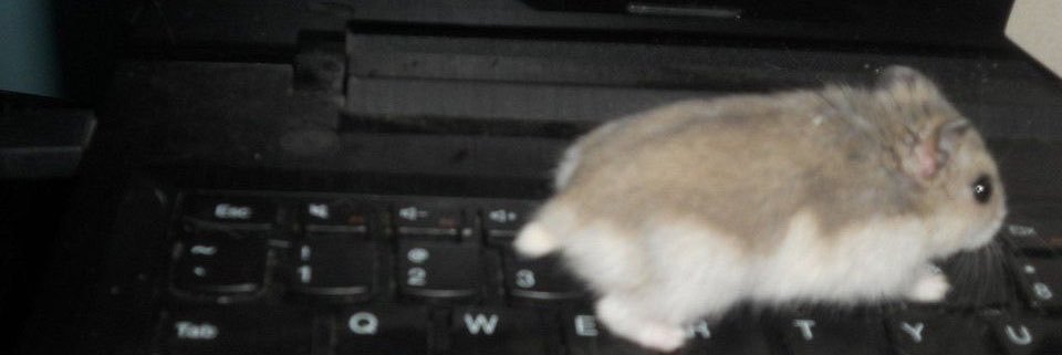 fukcomments's profile banner image