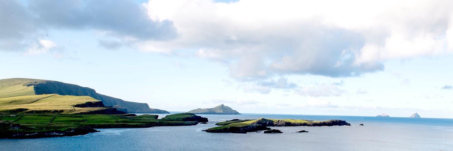 Margaret O'Shea banner