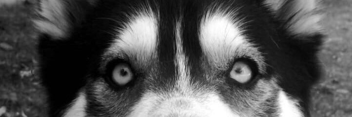 olter93's profile banner image