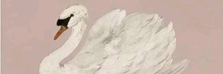 nogodhelpme's profile banner image