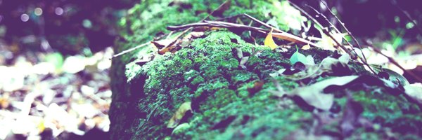 souko8 Profile Banner