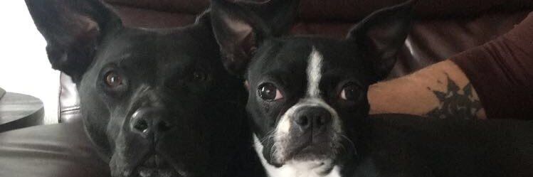 conziez's profile banner image