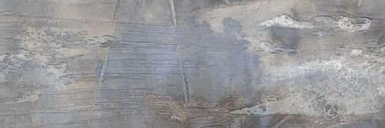 설🌸⊙⊝⊜ banner