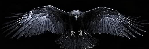 _Kartal__54's profile banner image