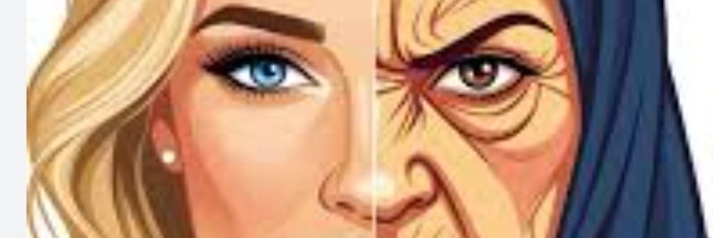 Knilles, PVV stemmer. banner