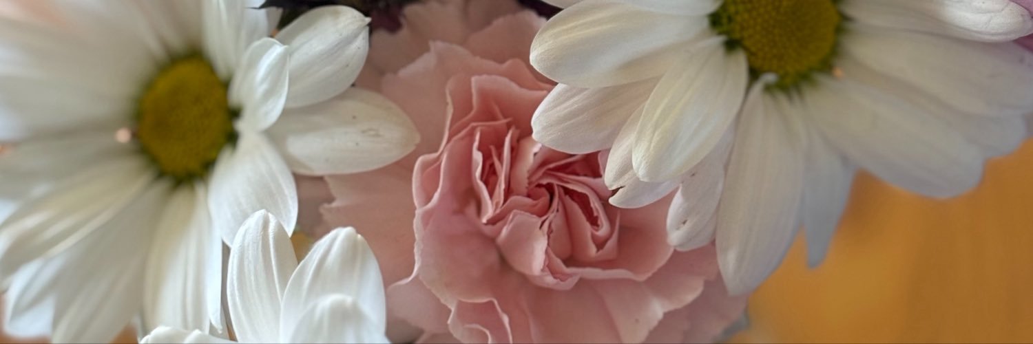 WillowMayVale1's profile banner image