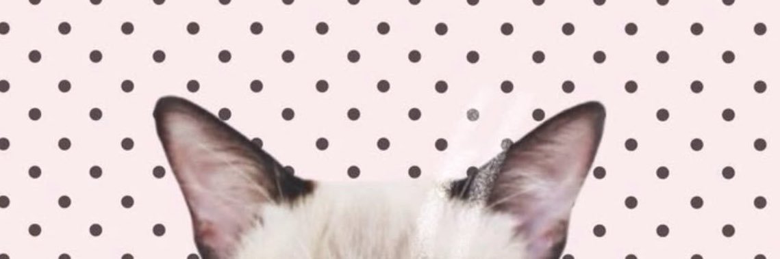 zotuwu's profile banner image
