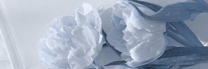Vlyetof's profile banner image