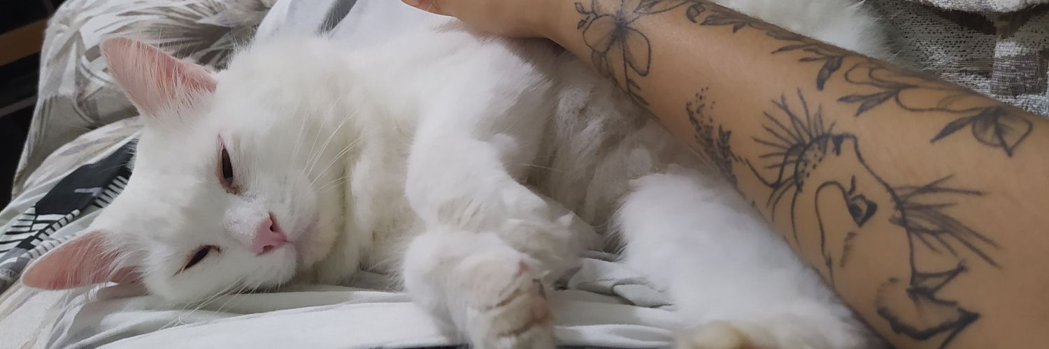 stewtf_'s profile banner image