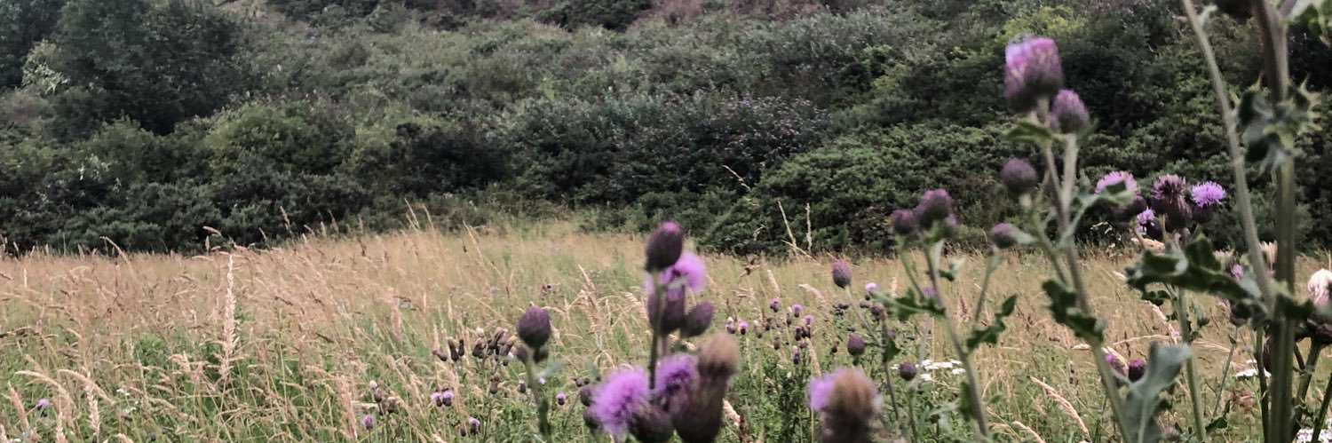 harryaslam's profile banner image