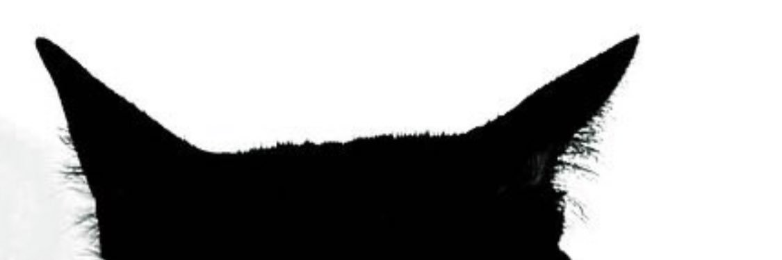 TYDI's banner