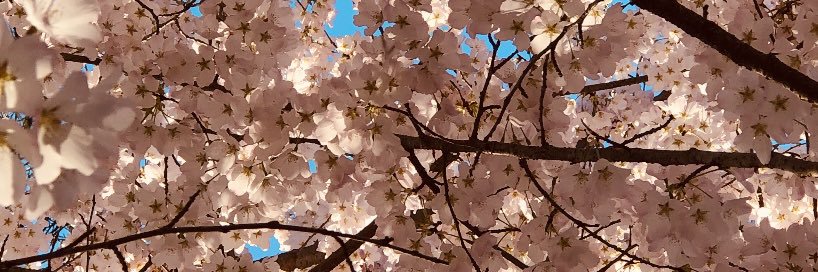 cjoneill71's profile banner image