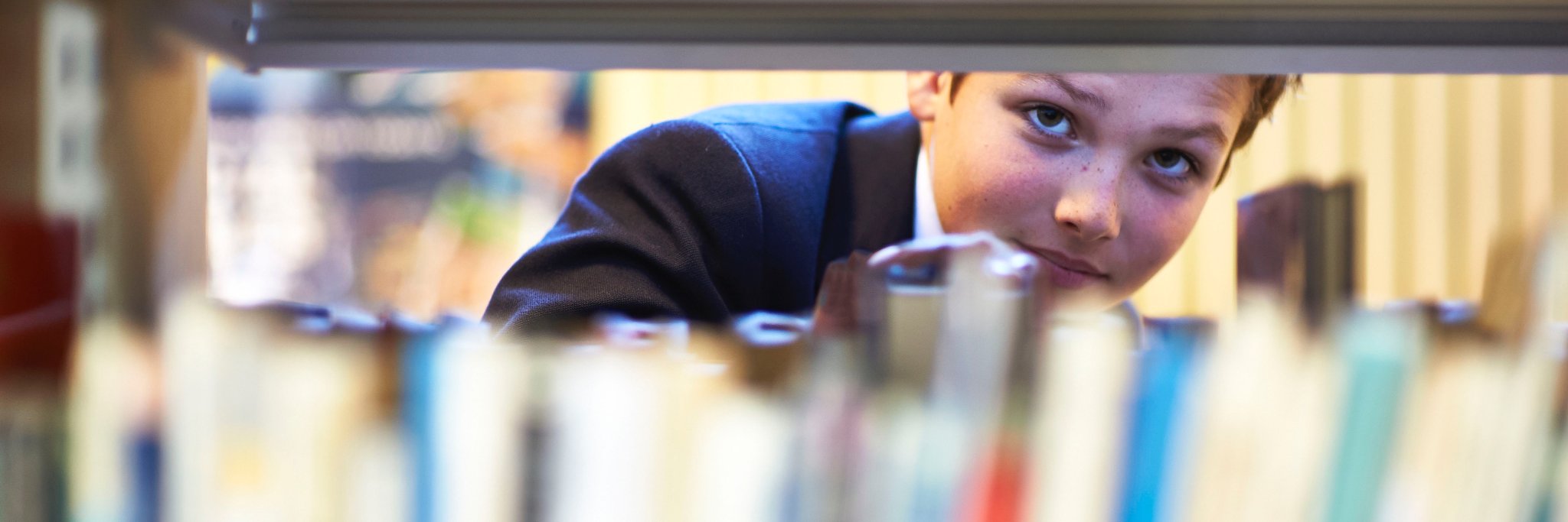 The Mallison Library banner