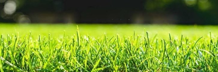SporBay's profile banner image